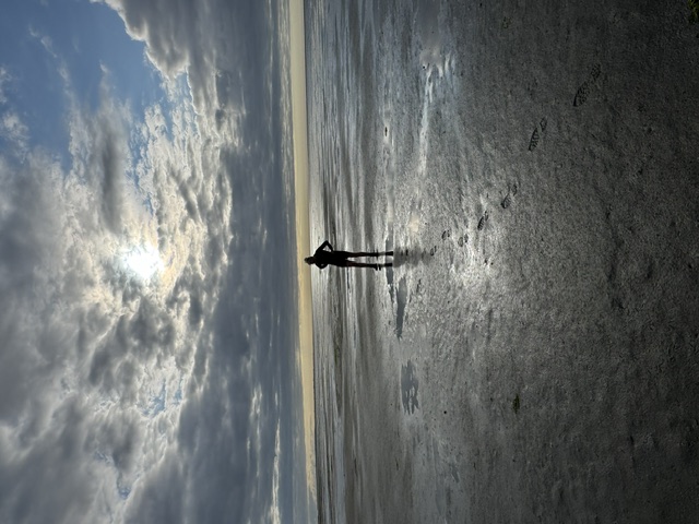 Silhouet op het wad bij zonlicht