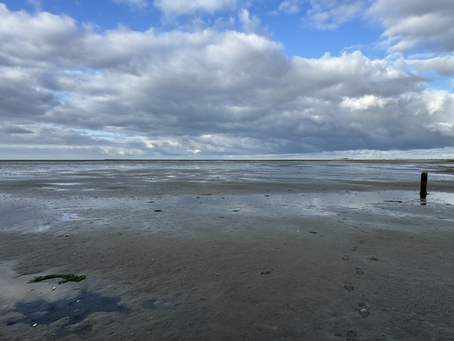 Uitzicht over het waddenlandschap bij Oosterend